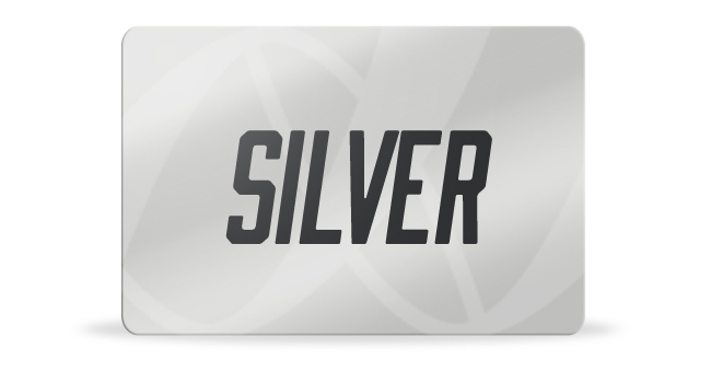 Silver 650X340