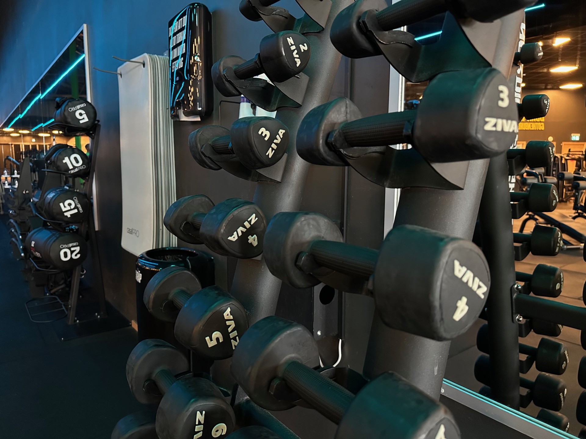 Örebro Marieberg Hantlar