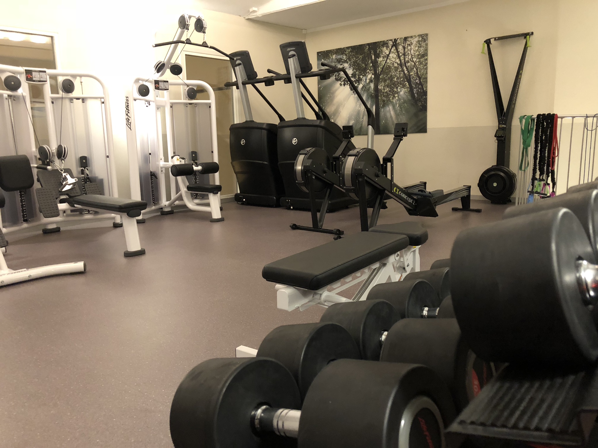 form wellness falköping form wellness falköping