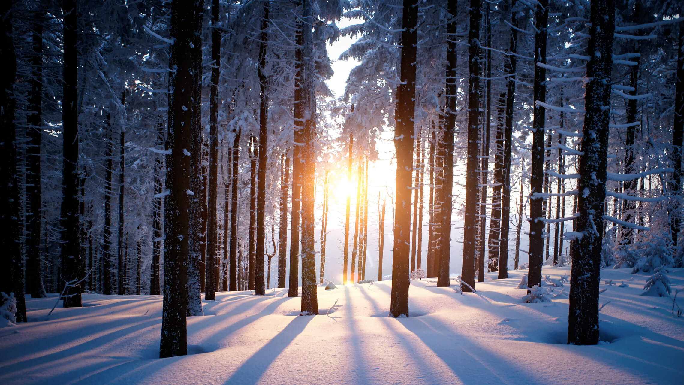 solnedgång_nw_d_vitamin .jpg