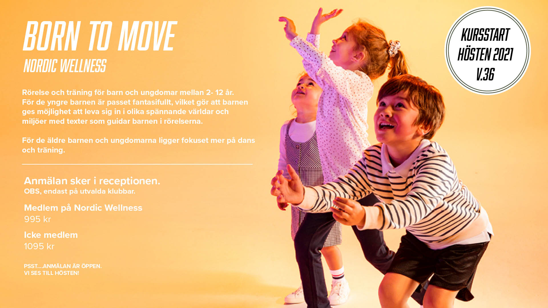 05_Born to move _ Malmö_ WEXER (2).jpg (1)