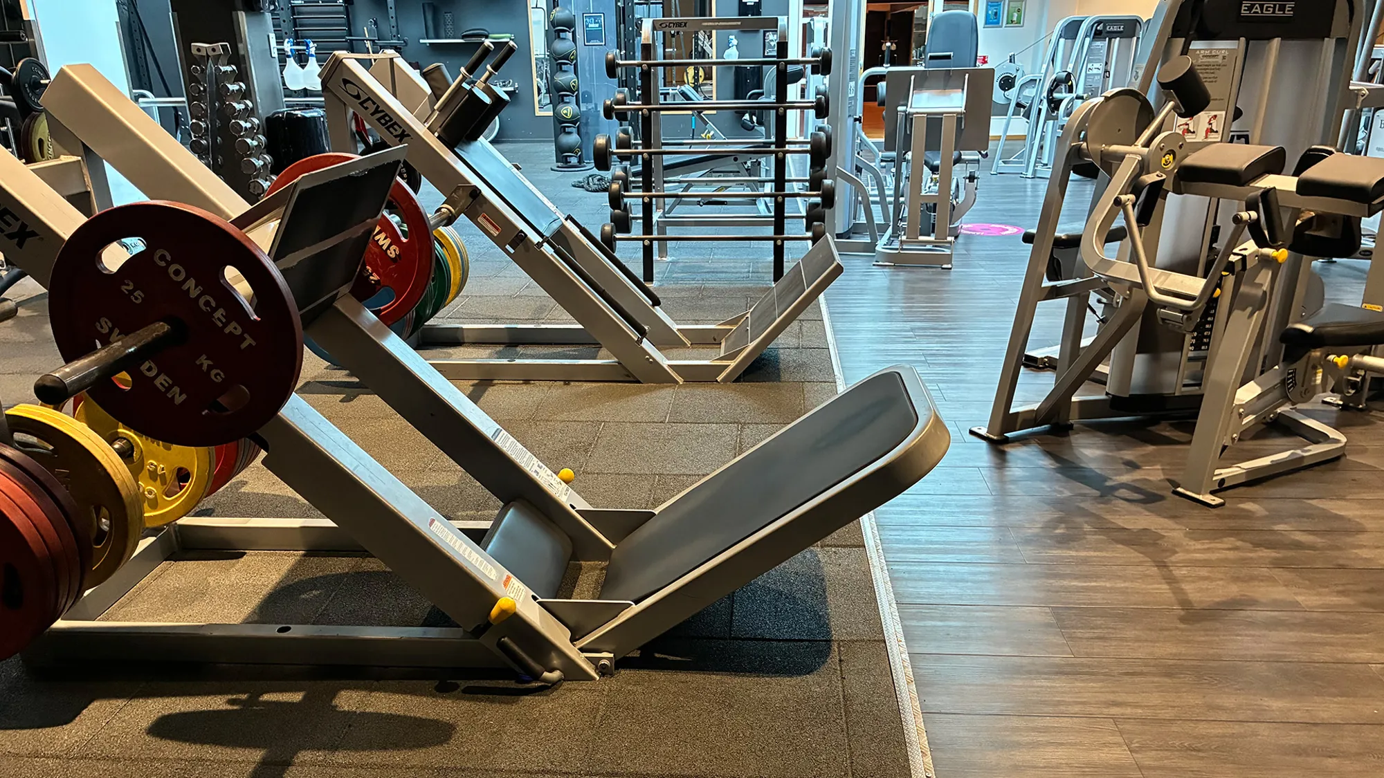 IMG 0061
