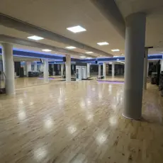 IMG 08 12