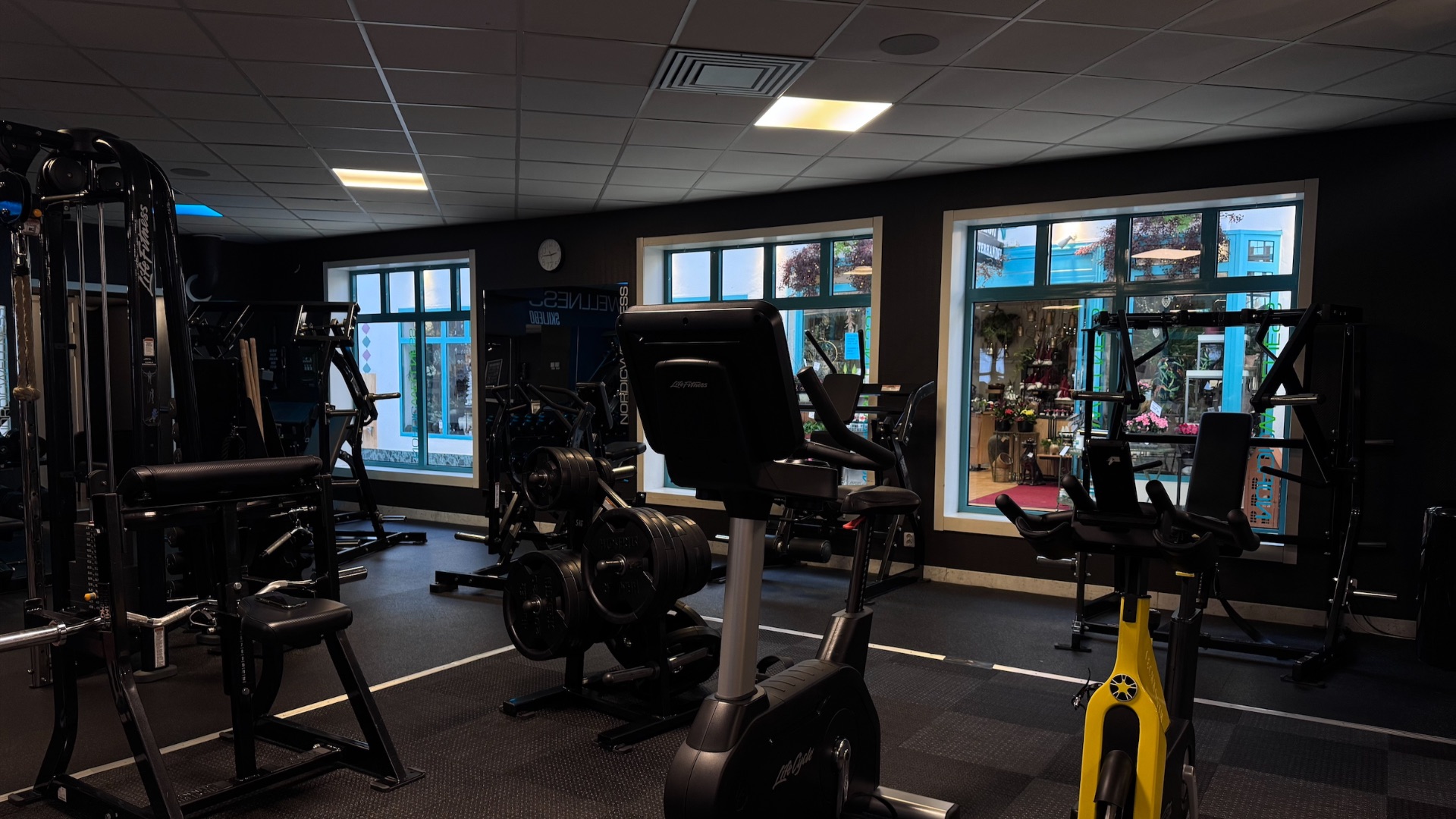 Processed 250E62dd C444 4Bd7 8404 C329d5d16d64