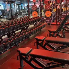 Thumbnail IMG 7531 (1)