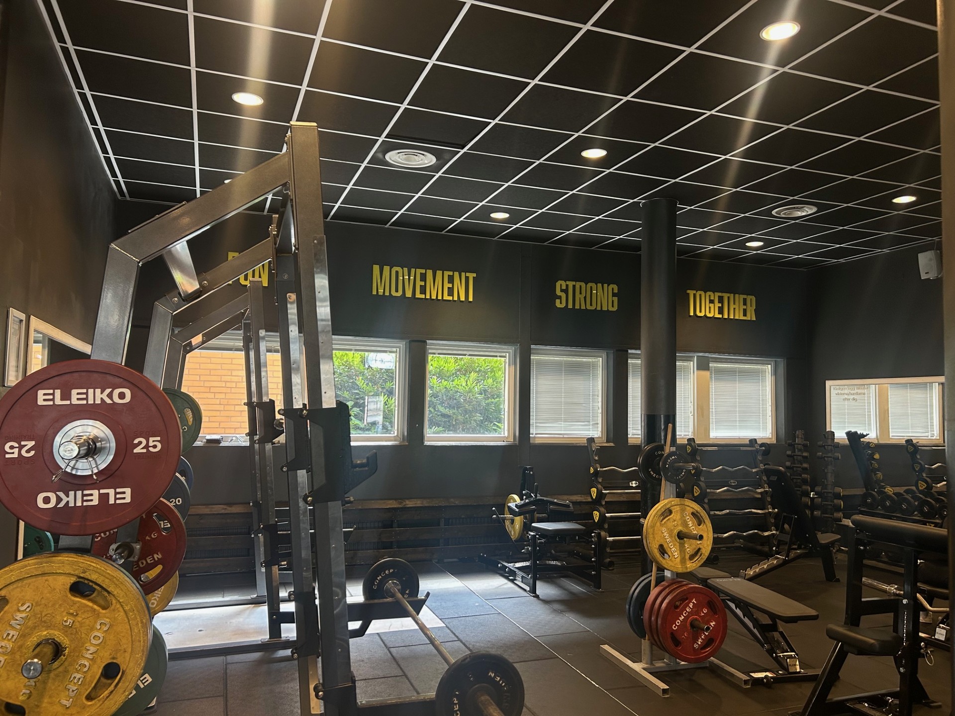 Thumbnail Image1 (1)