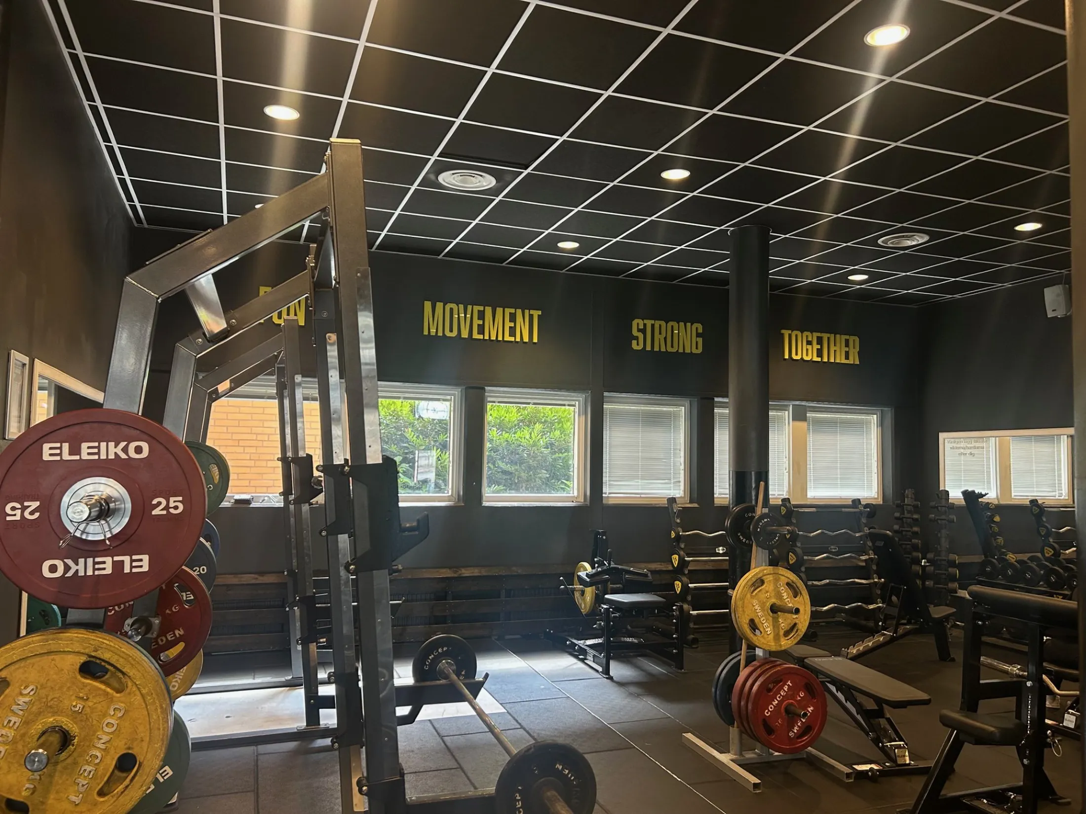 Thumbnail Image1 (1)