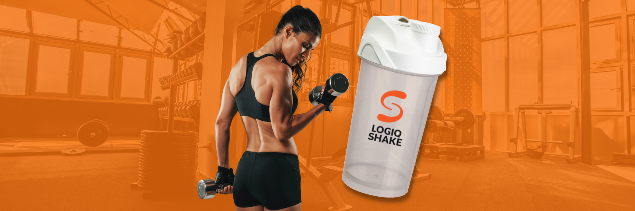 Logiq 1800 X 600 Px 1 E8b153a3 D2e5 48Dd 9546 13D0d3572fa6 1944X