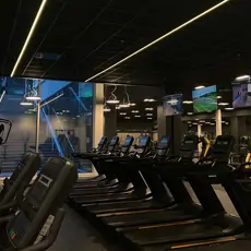 Img 03