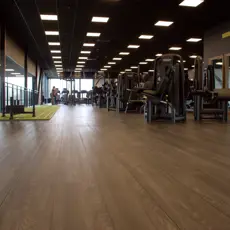 IMG 0186