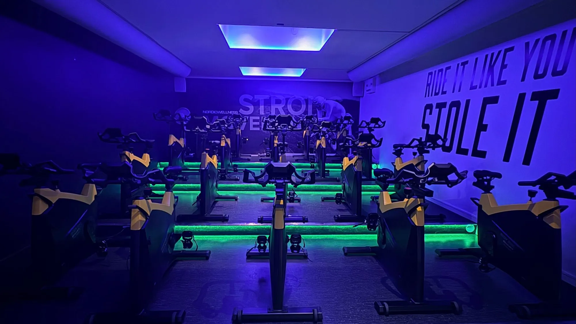 Image 2025 11 12T172203.529