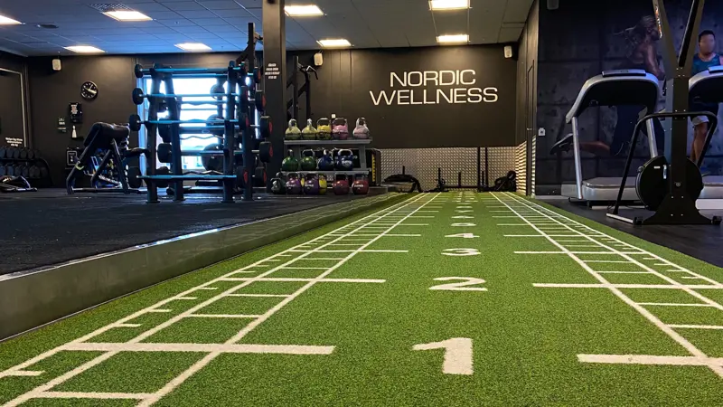 Processed 25339F2F 4ADE 47F3 AC4C 6EED1903A3D2