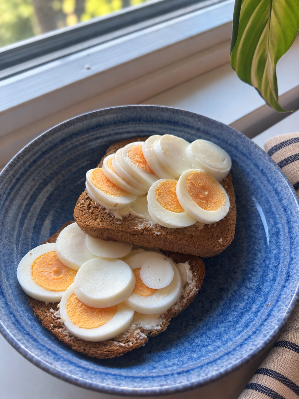Äggmackor