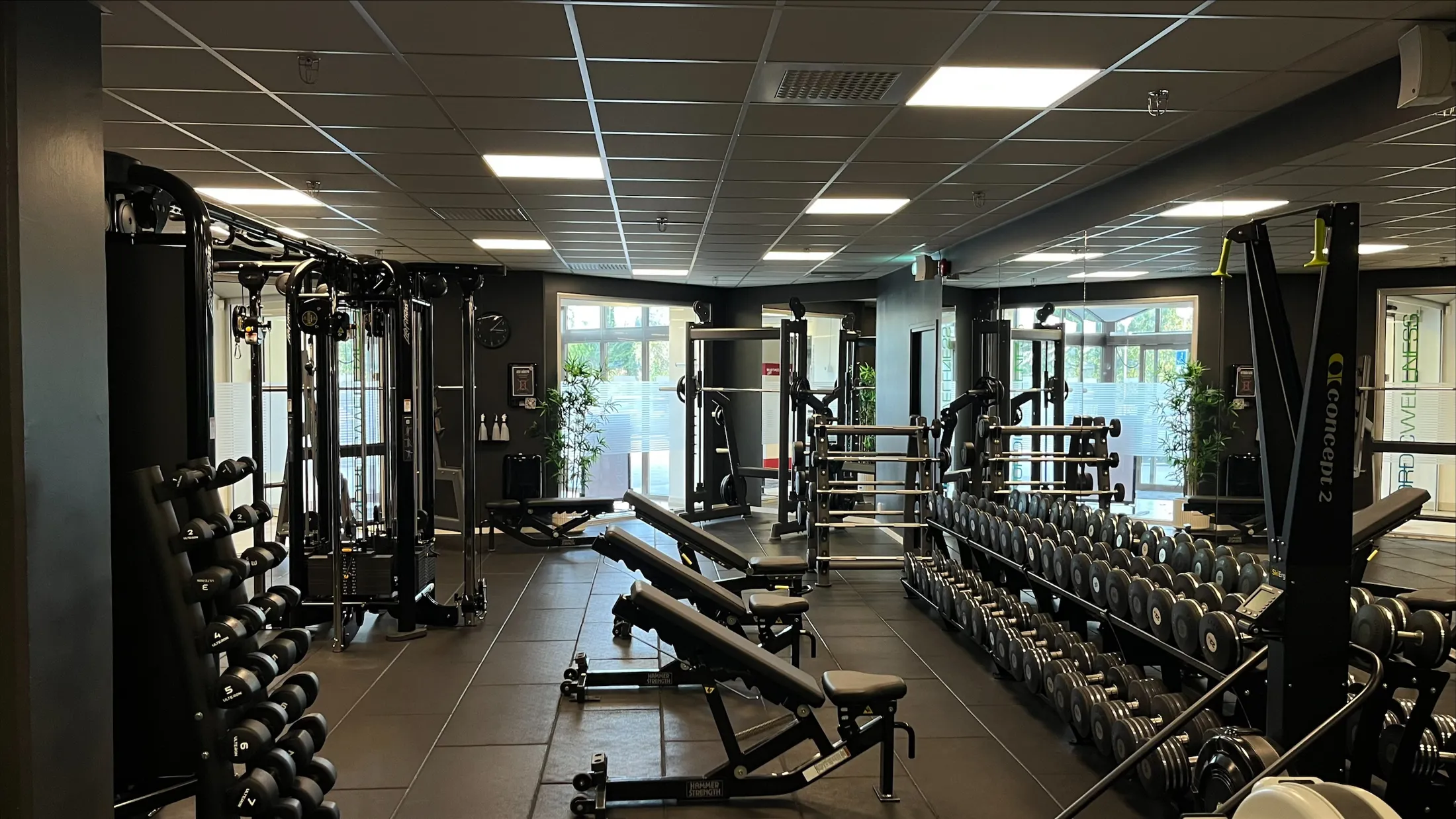 Processed 2EA34AE8 4D1C 4987 88BC 3363CAB4411F