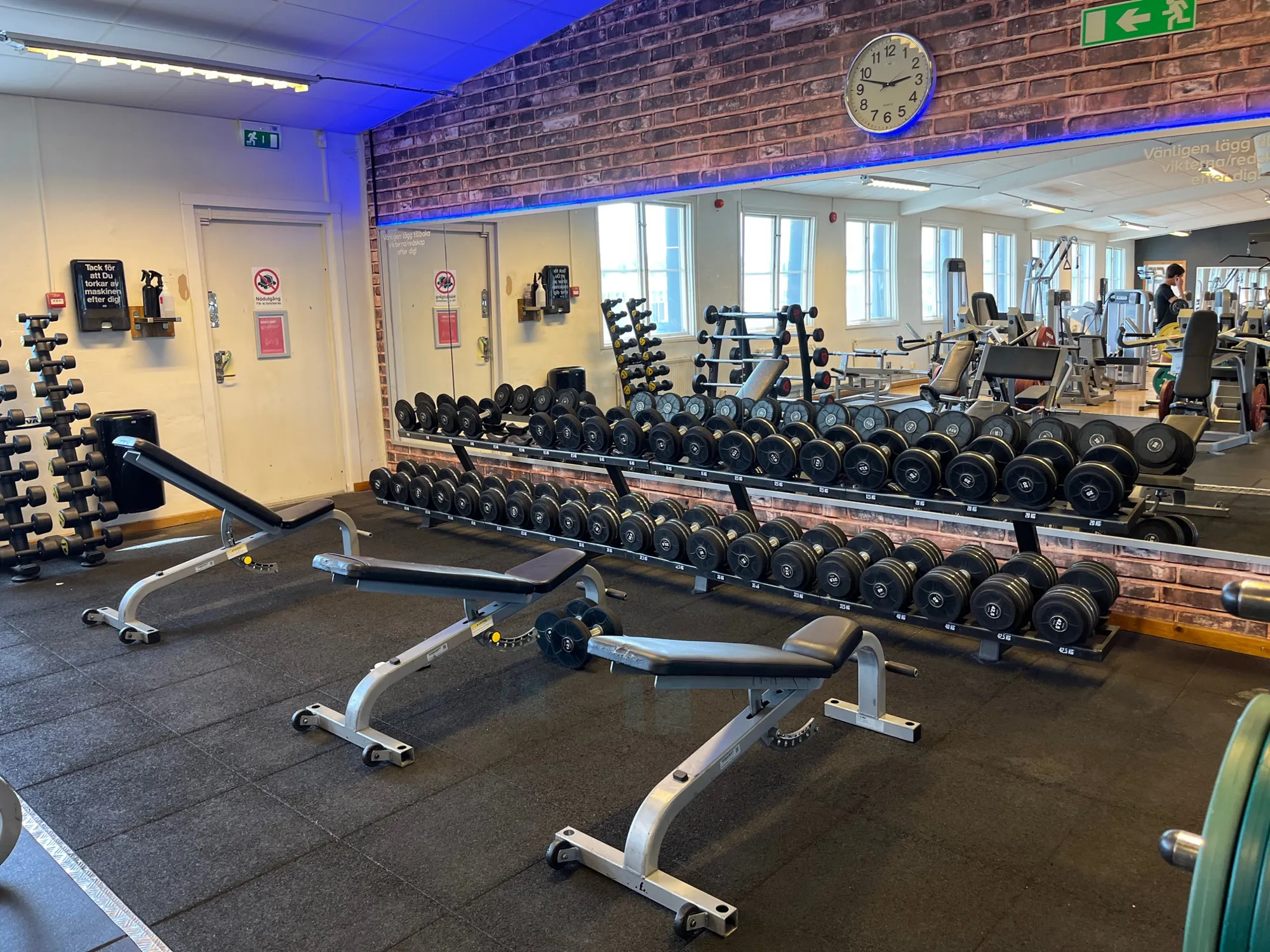 IMG 0492