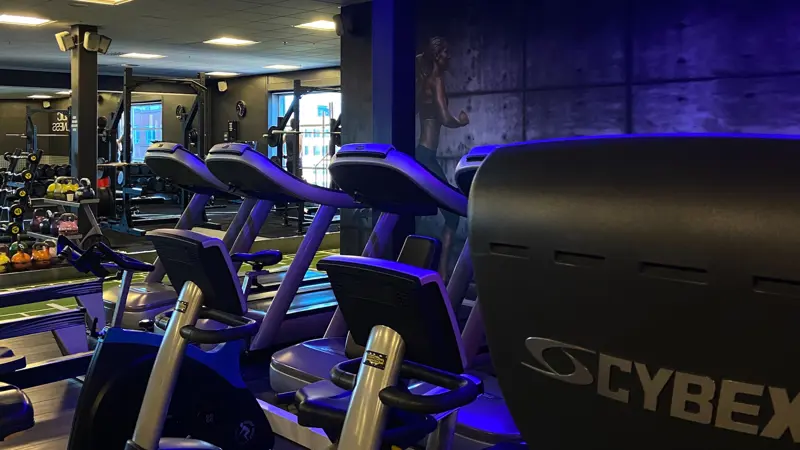 Processed 9F0C3C87 165D 4732 8B13 9FCEB39BBE81