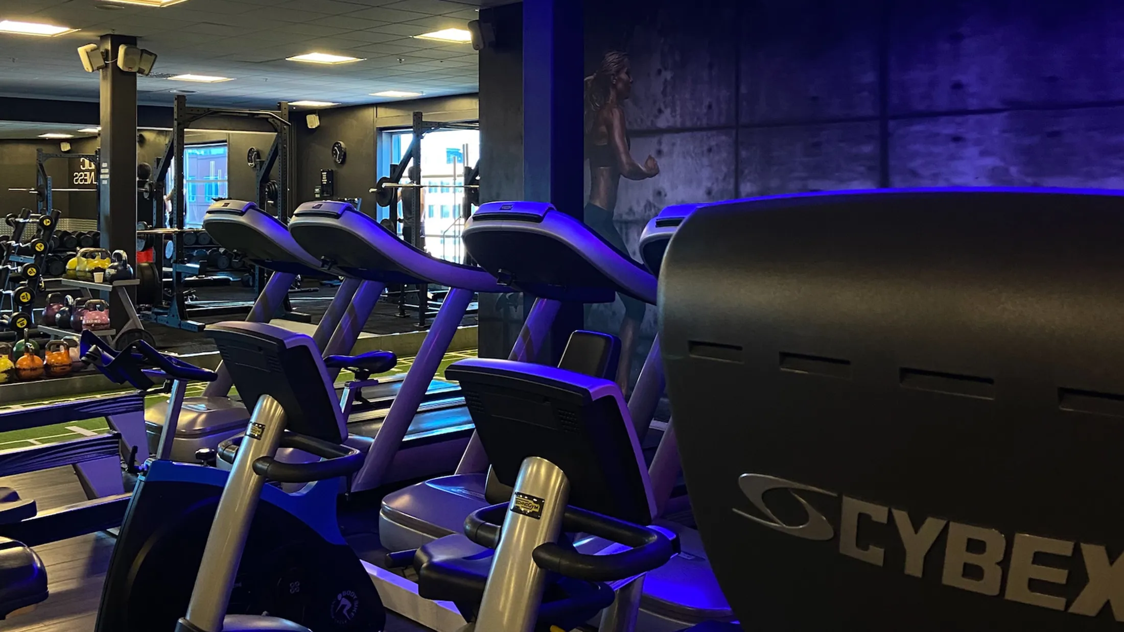 Processed 9F0C3C87 165D 4732 8B13 9FCEB39BBE81