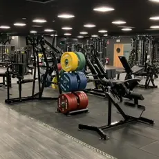 Img 11