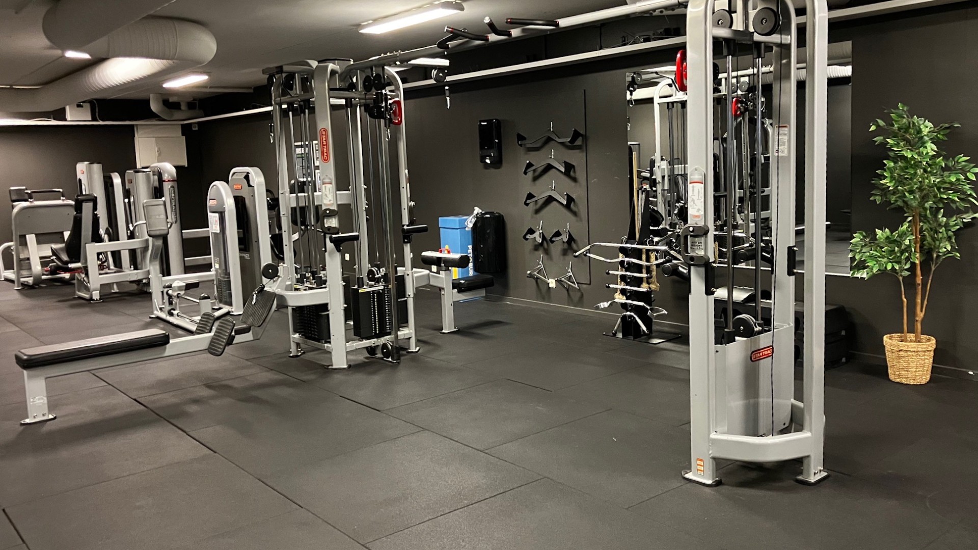 Skellefteå City Gymmet