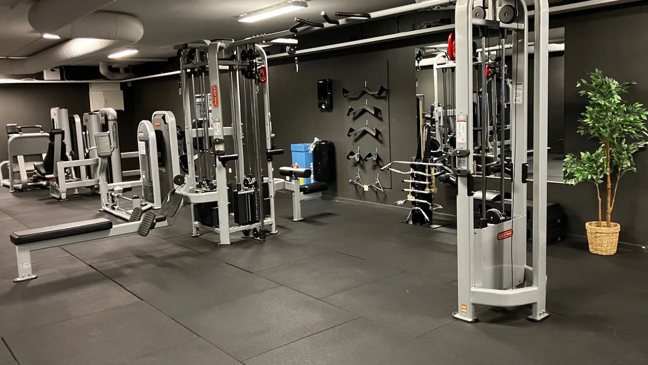 Skellefteå City Gymmet