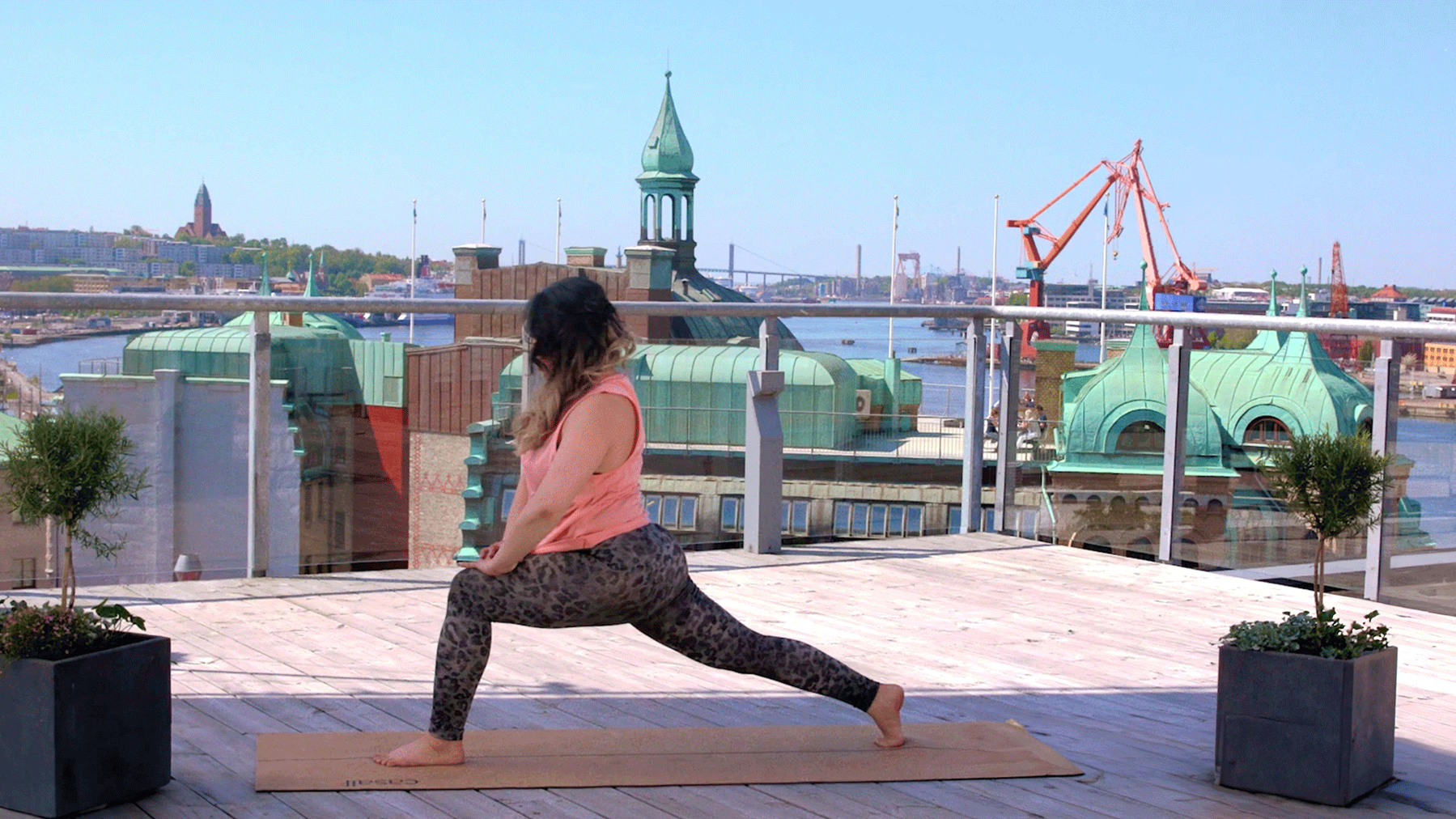 0045 Vinyasa Yoga%0A