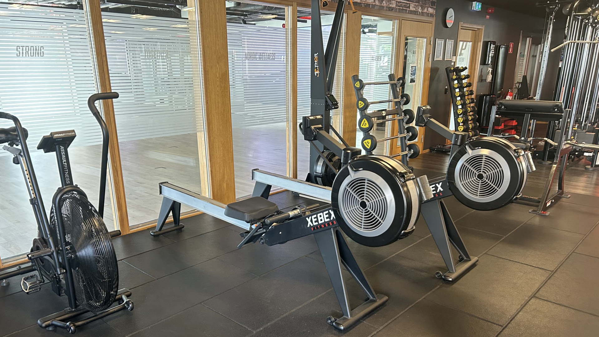 Thumbnail IMG 6704 (1)