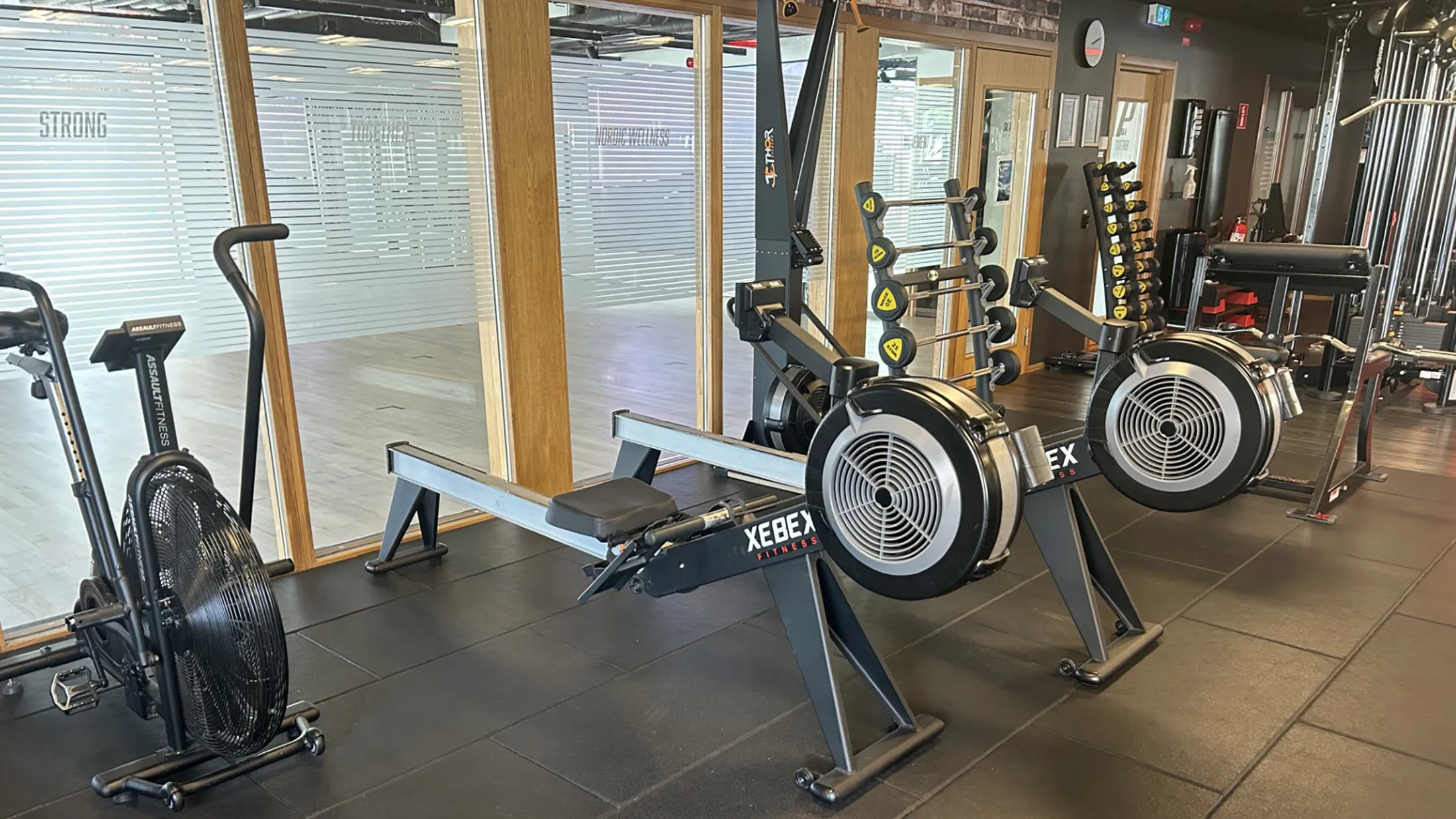 Thumbnail IMG 6704 (1)