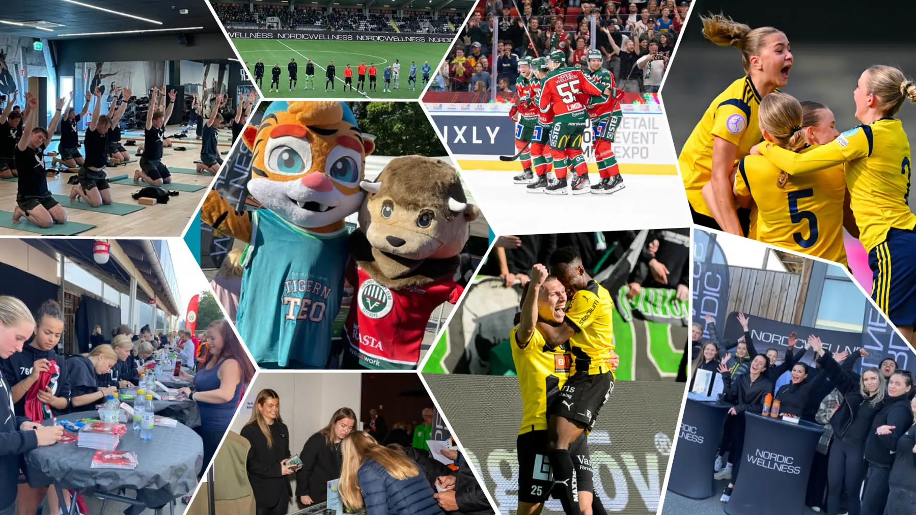 1920X1080 Kollage Företag