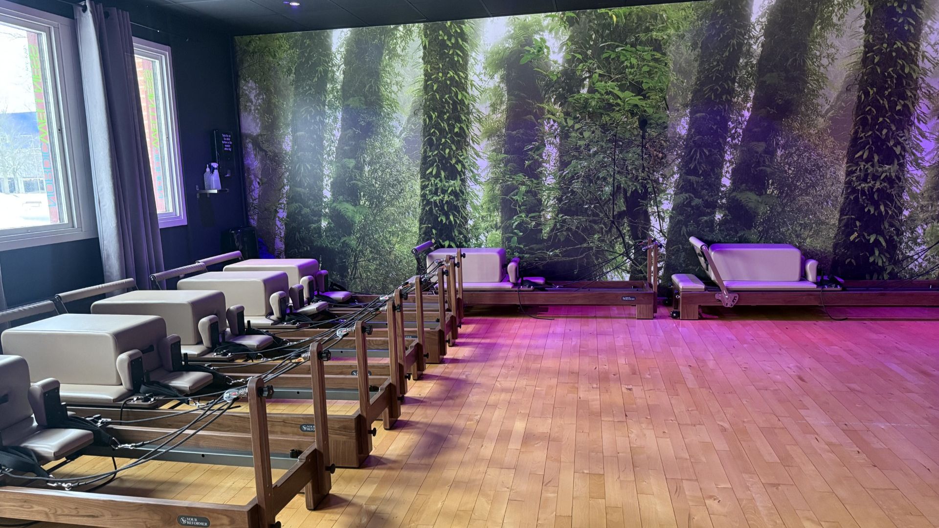 40B92f26 9C9d 455E A696 454F2229d621