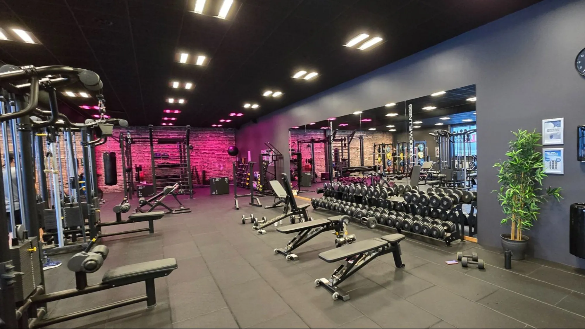 Image 2025 10 10T093829.744