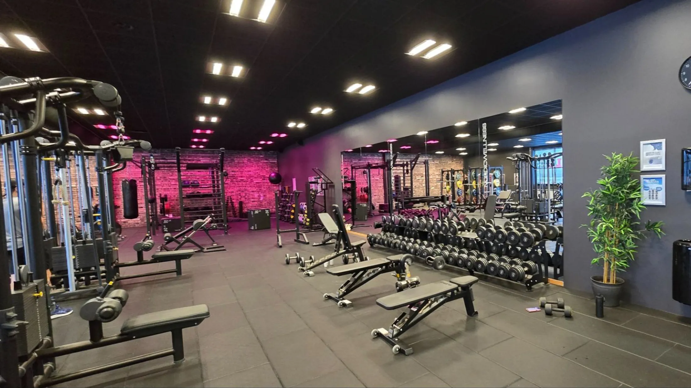 Image 2025 10 10T093829.744