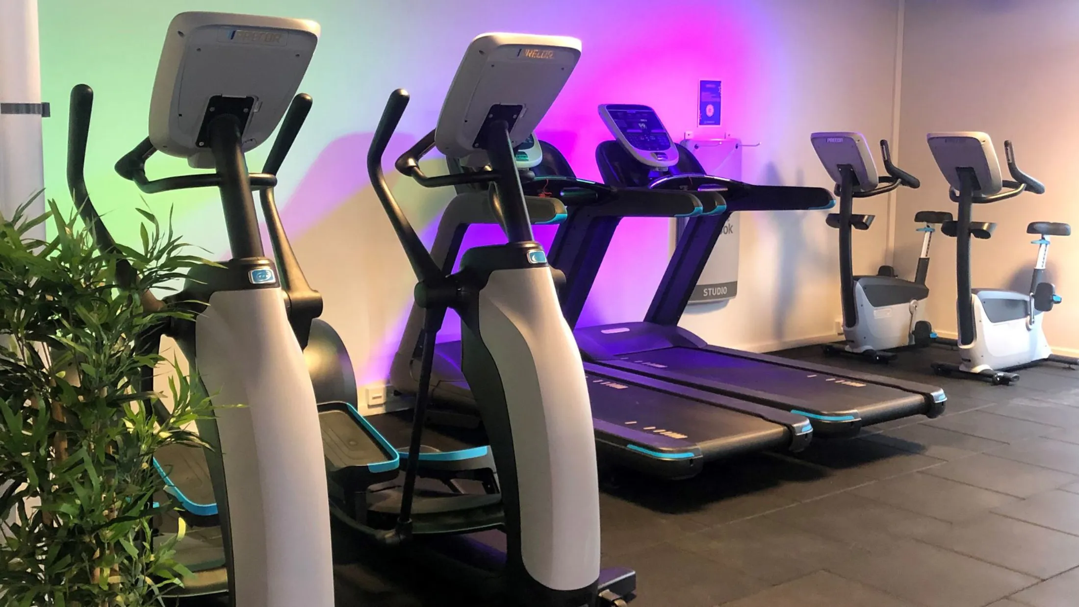 Interiör Endorfin Stadsskogen