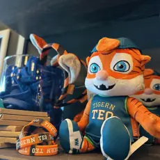 Örebro Marieberg Tigern